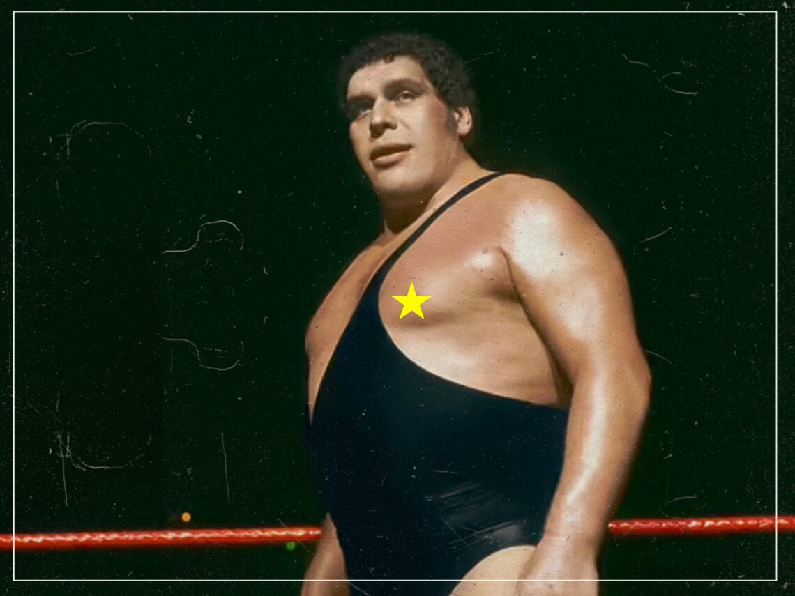 Photo of Andre the Giant